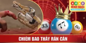 Chiêm Bao Thấy Rắn Cắn