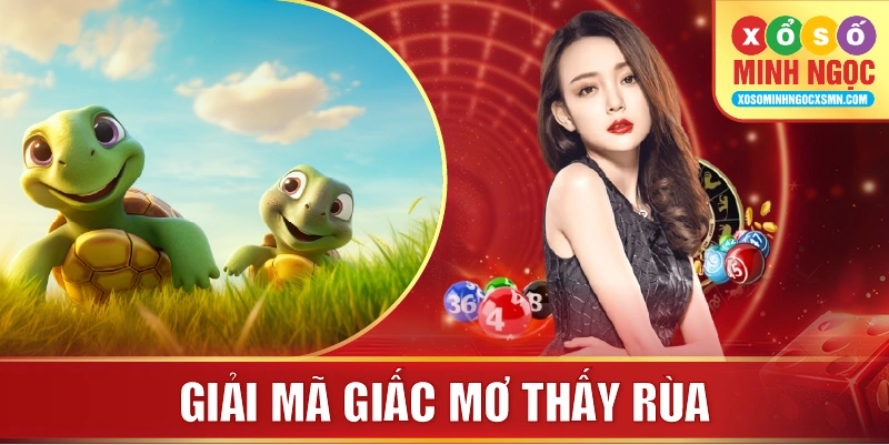 Giải mã giấc mơ thấy rùa