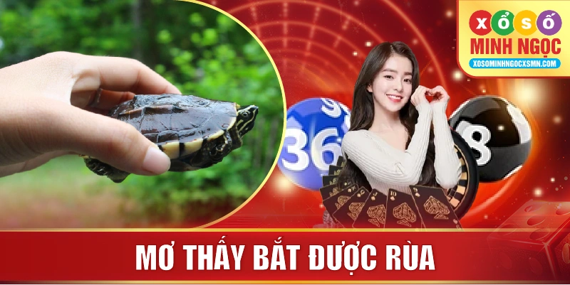 Mơ thấy bắt được rùa