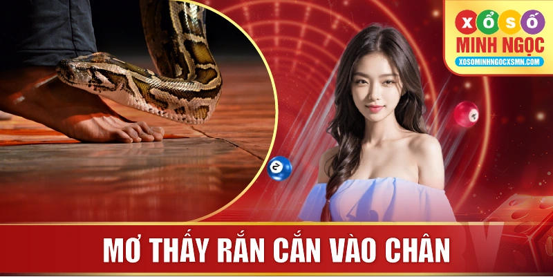 Mơ thấy rắn cắn vào chân