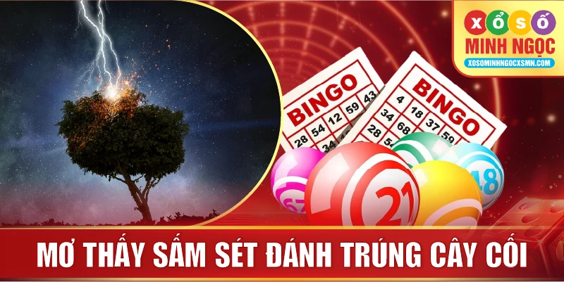Mơ thấy sấm sét đánh trúng cây cối